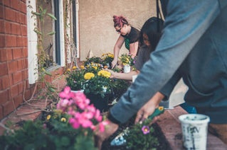 people tending a garden together
