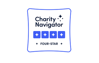 four star badge