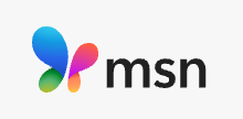 MSN LOGO