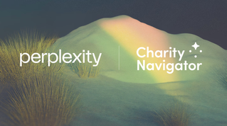 Perplexity and Charity Navigator logos